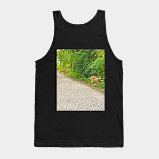 Rockingham Deer Tank Top